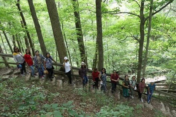 FB_IMG_1669003467737