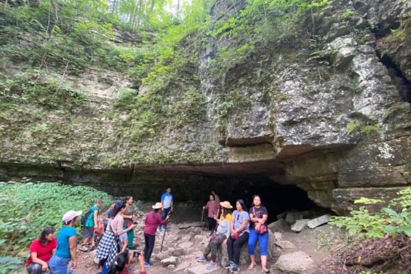 received_256769479413467